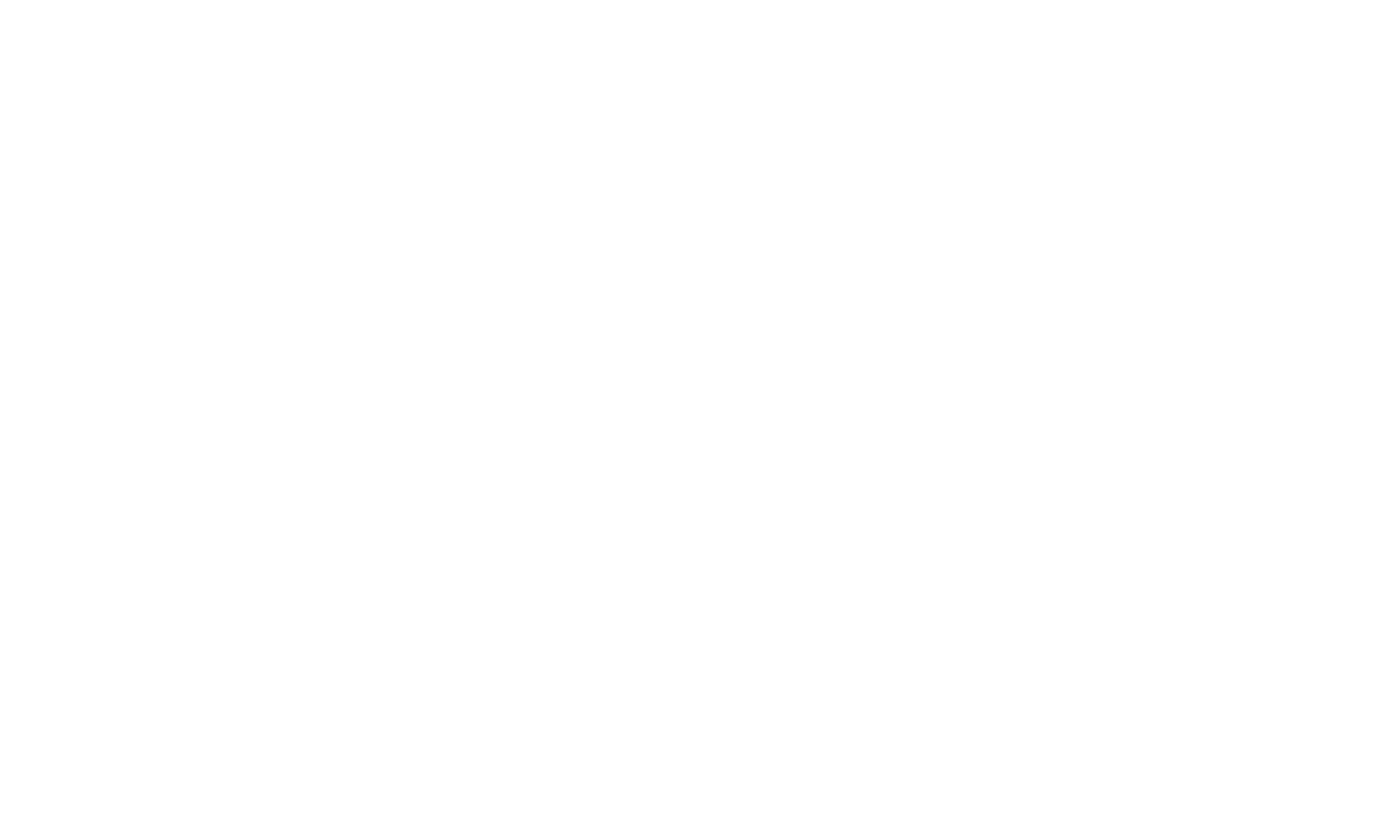 LOGO OVERNIGHT.SX