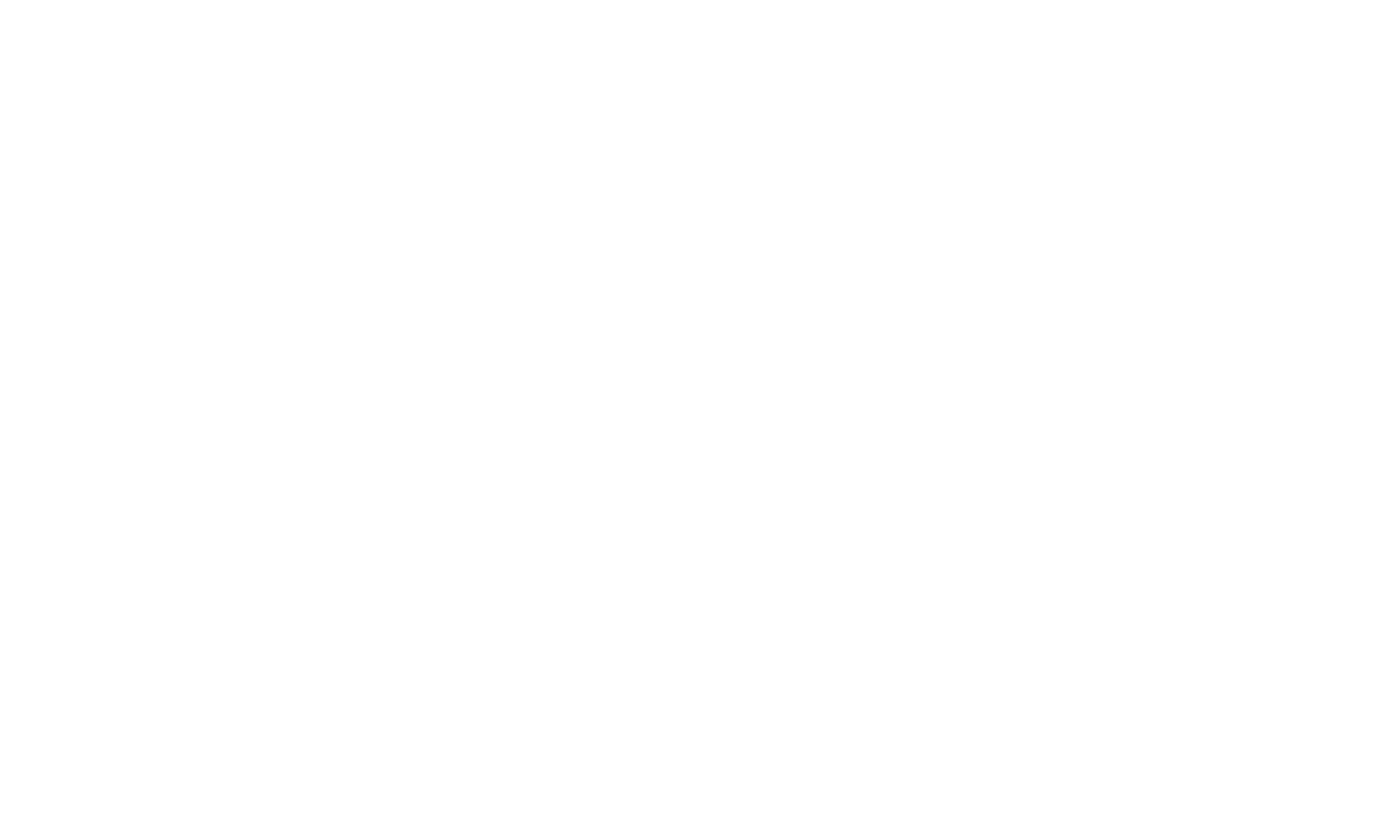 LOGO DWL Deutsche Waffen Logistik